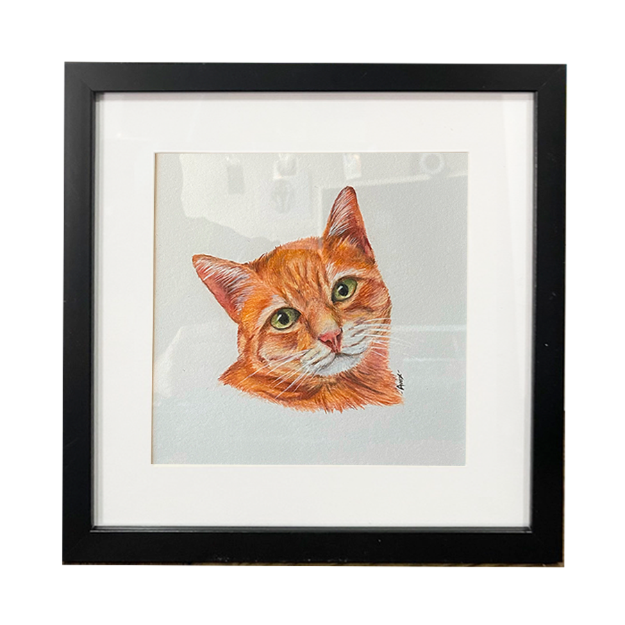 Retrato individual para mascota 25 x 25