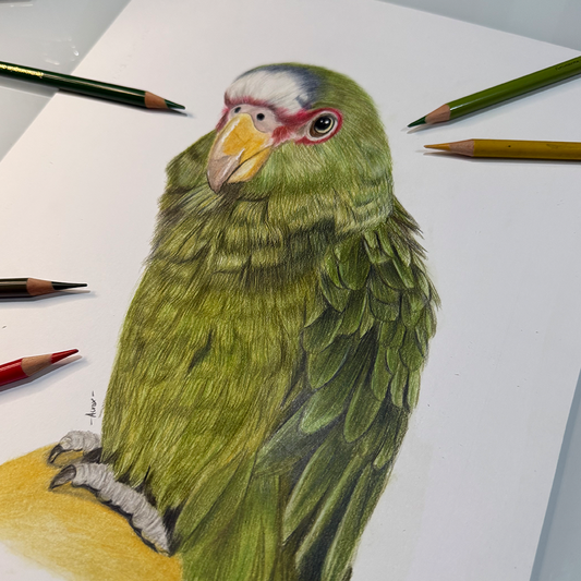 Retrato personalizado de 1 mascota a mano · Lápices de color · 28 × 21 cm