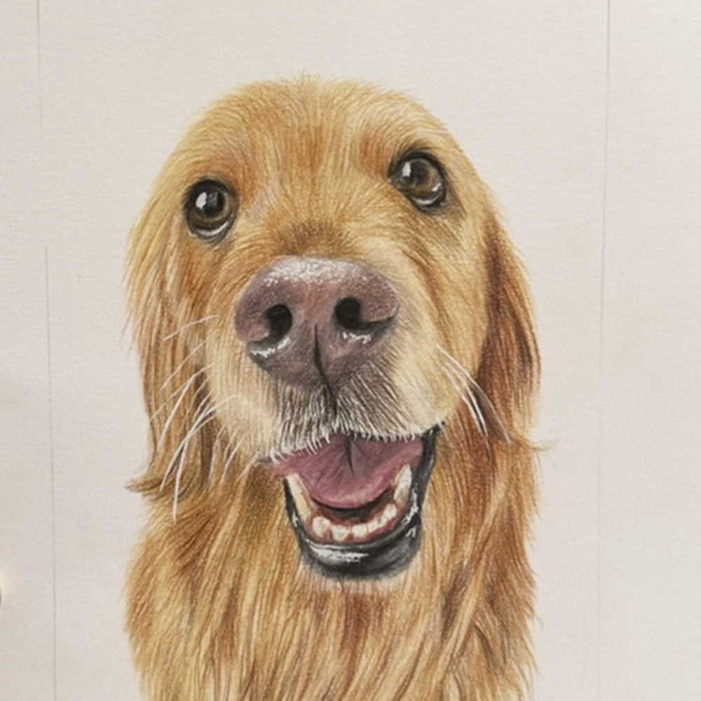 Retrato personalizado de 1 mascota a mano · Lápices de color · 25 × 25 cm