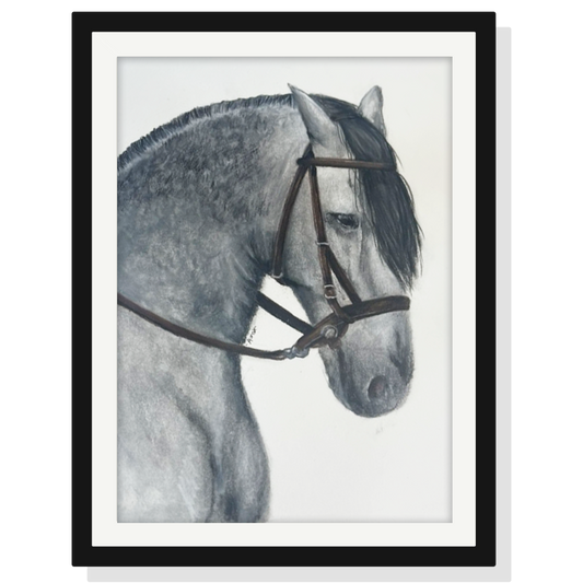 Retrato personalizado de 1 mascota a mano · Lápices de color · 28 × 21 cm