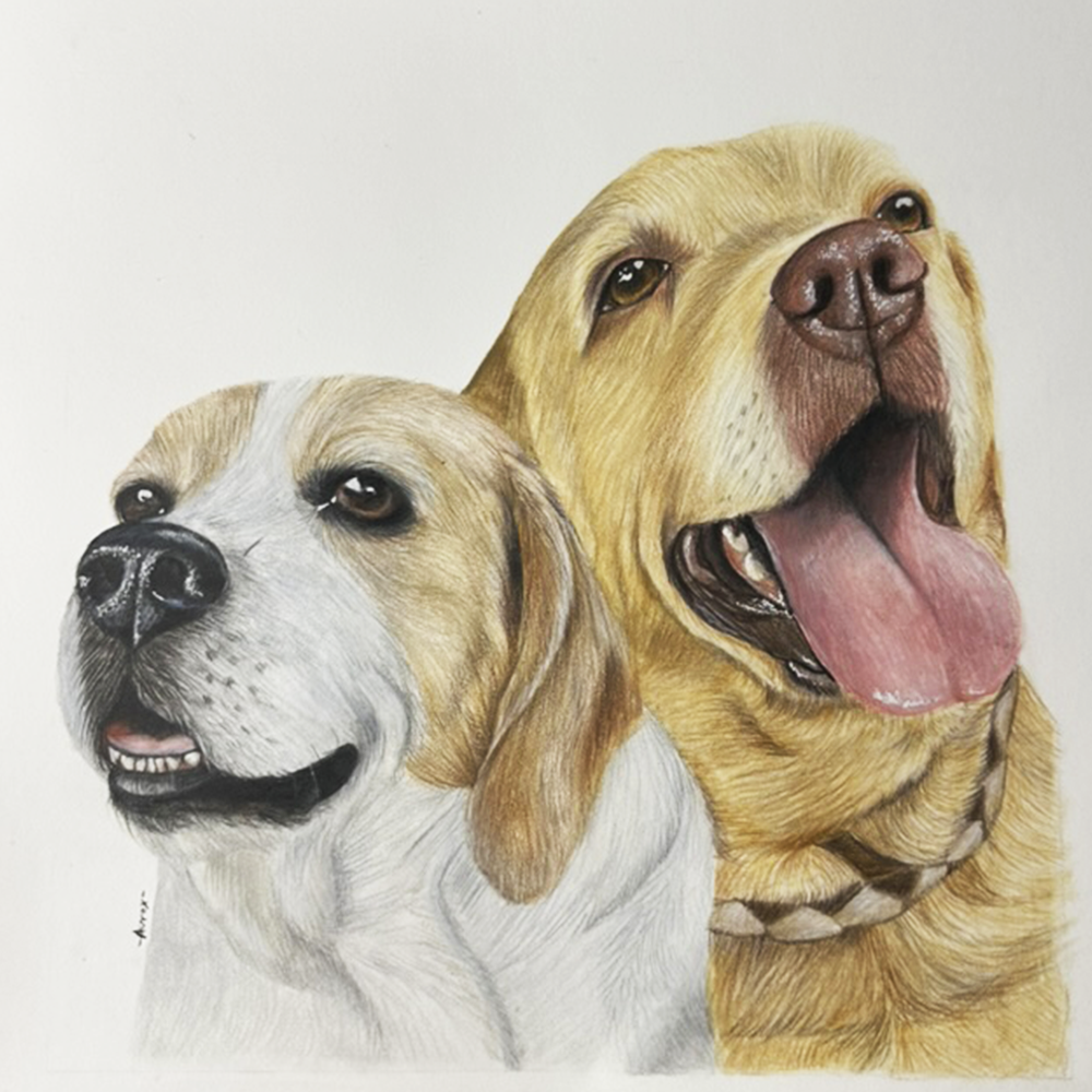 Retrato personalizado de 2 mascotas a mano · Lápices de color · 40 × 40 cm