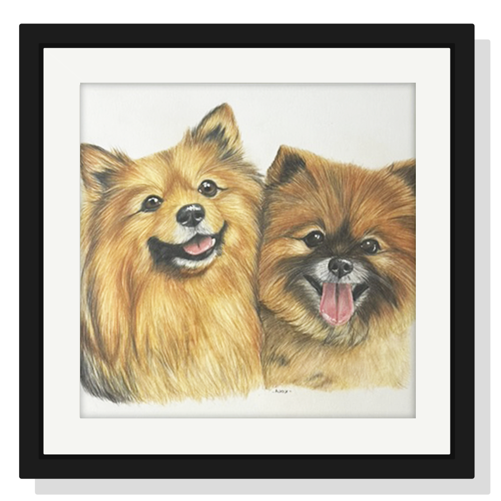 Retrato personalizado de 2 mascotas a mano · Lápices de color · 40 × 40 cm
