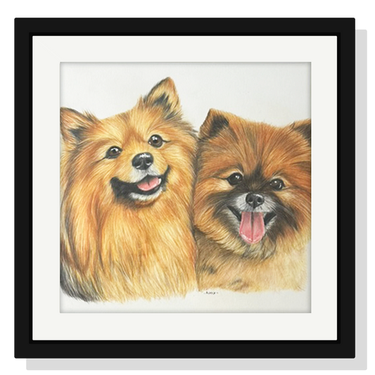 Retrato personalizado de 2 mascotas a mano · Lápices de color · 40 × 40 cm