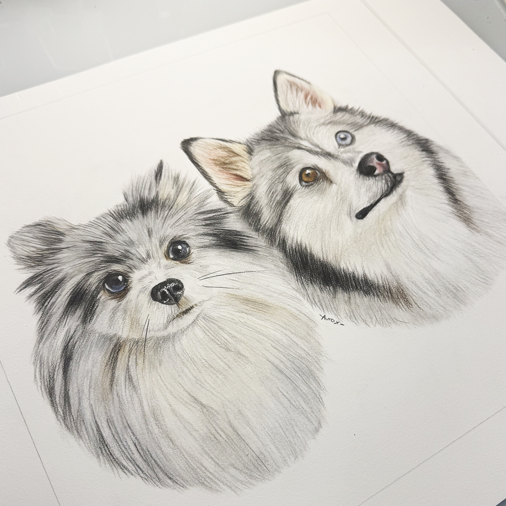 Retrato personalizado de 2 mascotas a mano · Lápices de color · 40 × 40 cm