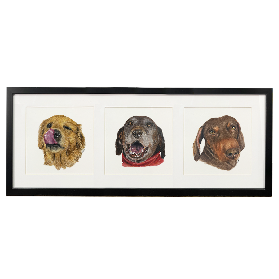 Portrait of 3 pets 63 x 25.5