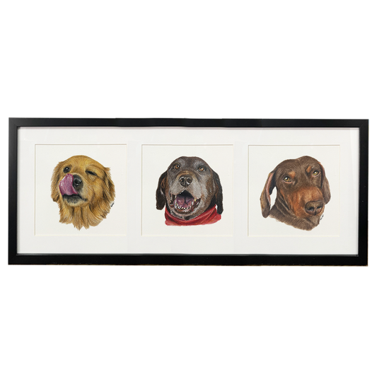 Retrato de 3 mascotas 63 x 25.5