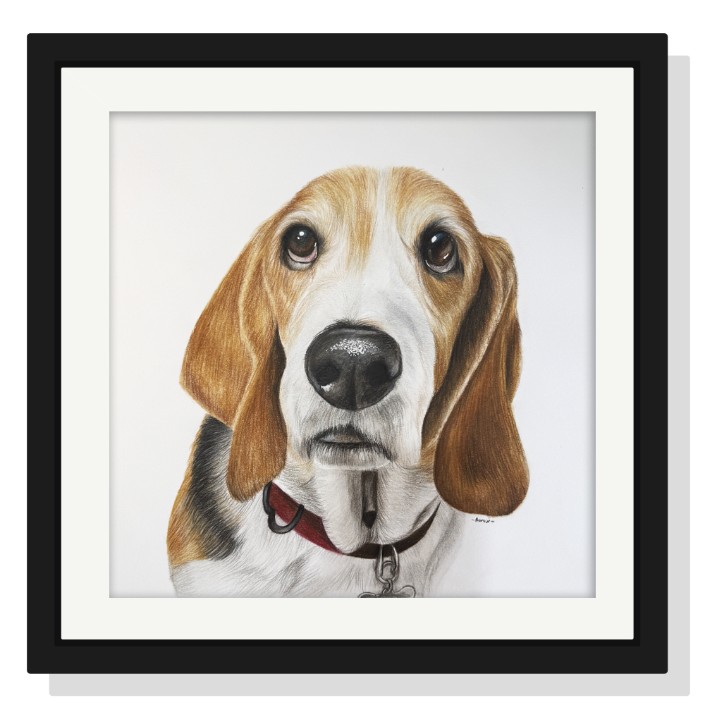 Retrato personalizado de 1 mascota a mano · Lápices de color · 40 × 40 cm