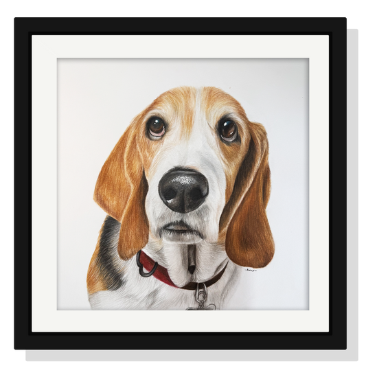 Retrato personalizado de 1 mascota a mano · Lápices de color · 40 × 40 cm