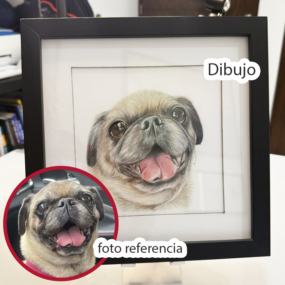 Retrato personalizado de 1 mascota a mano · Lápices de color · 25 × 25 cm