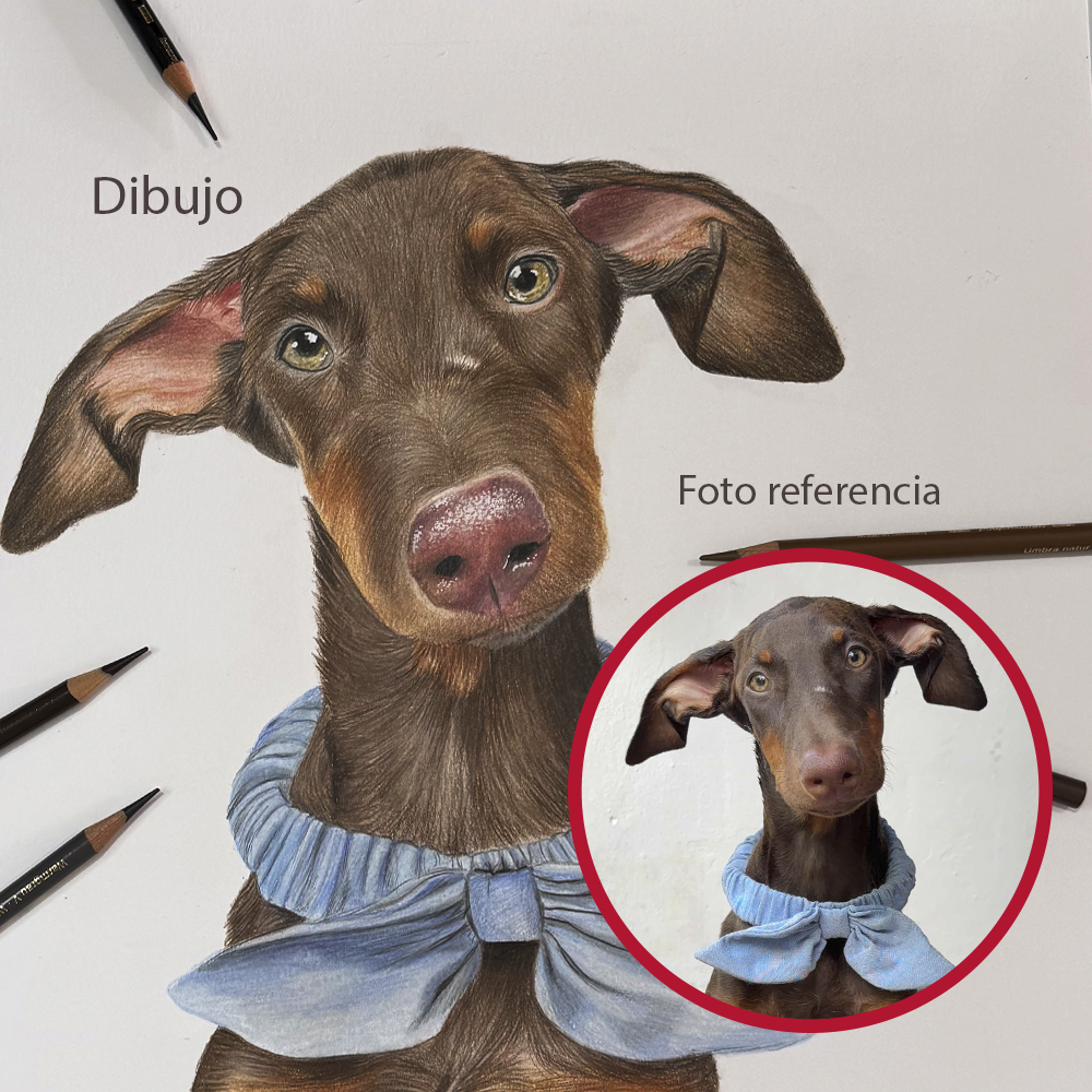 Retrato personalizado de 1 mascota a mano · Lápices de color · 28 × 21 cm