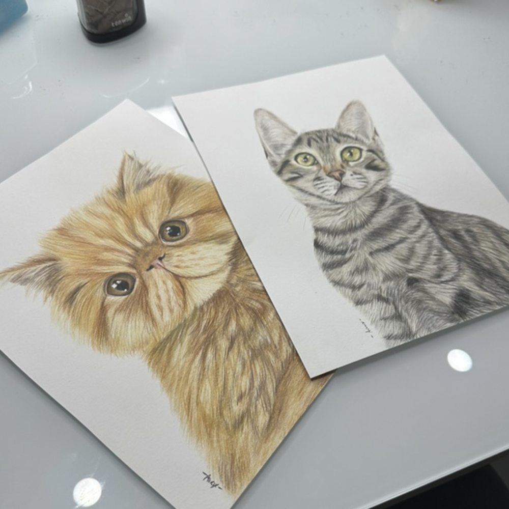 Retrato personalizado de 1 mascota a mano · Lápices de color · 28 × 21 cm