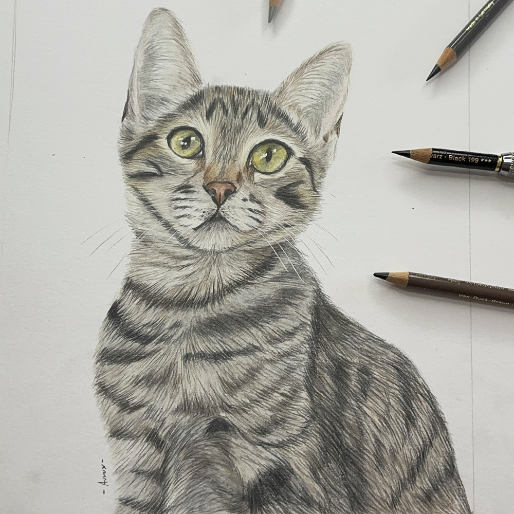 Retrato personalizado de 1 mascota a mano · Lápices de color · 28 × 21 cm
