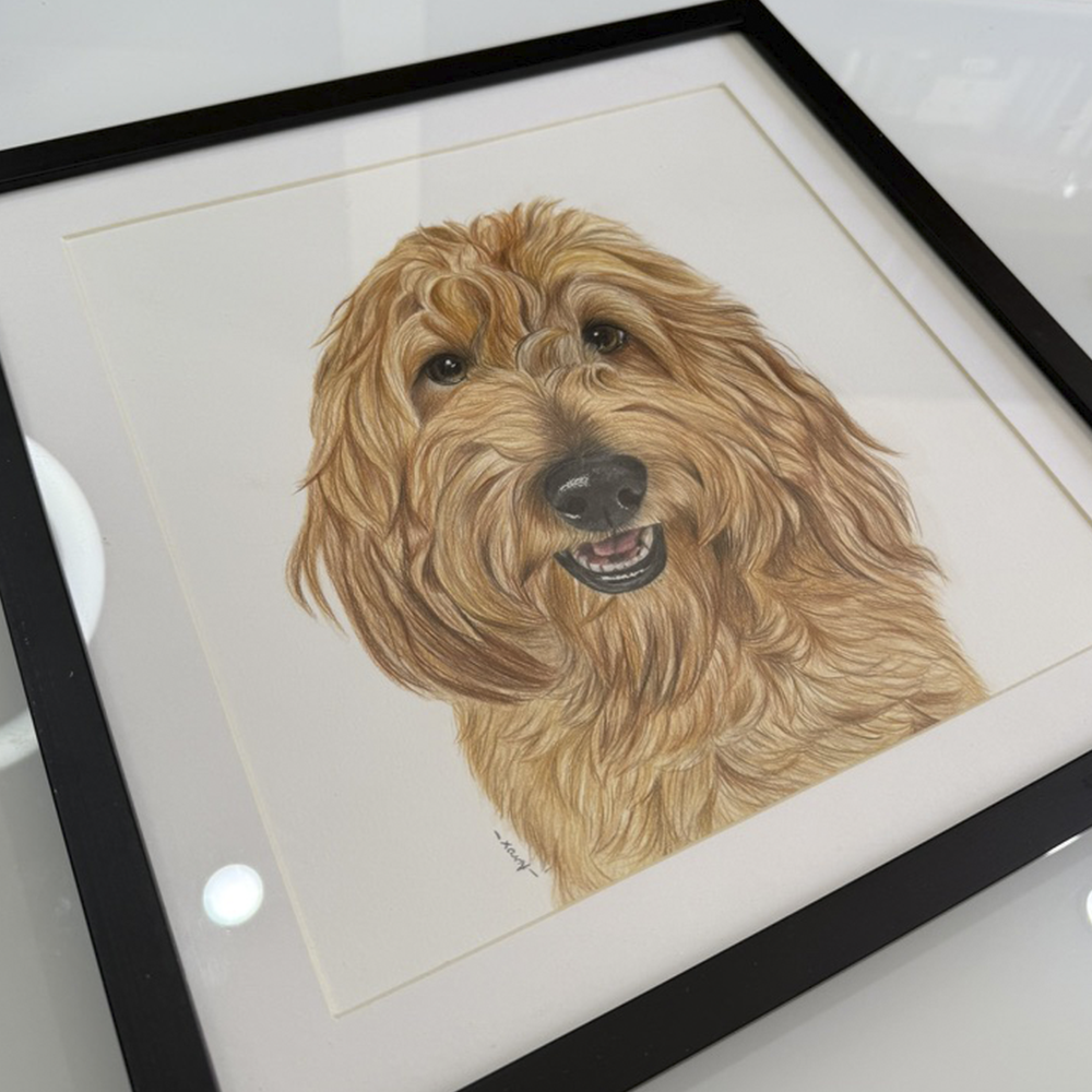 Retrato personalizado de 1 mascota a mano · Lápices de color · 40 × 40 cm